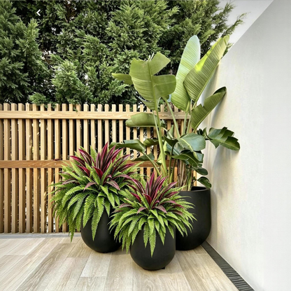 💥Summer Special🔥 Large UV-Resistant Artificial Fern & Red Dracaena Decorative Plants – Full, Lush & Fade-Resistant!