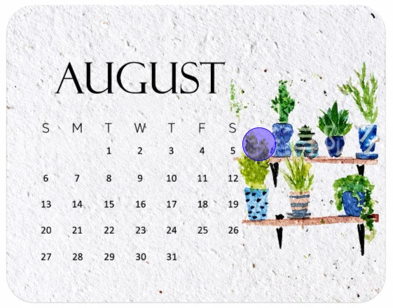 🔥Hot Sale 50% OFF🔥-🌱Eco-Friendly Plantable “Timeless” Seed Calendar 2027