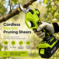 Pruner Only