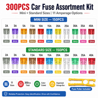 300PCS Kit(Without tester tools)